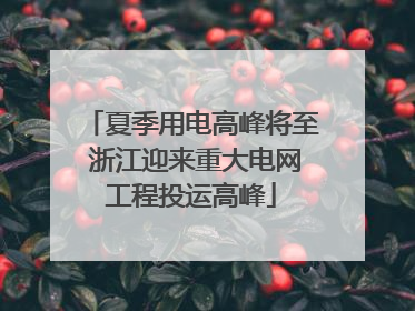 夏季用电高峰将至 浙江迎来重大电网工程投运高峰
