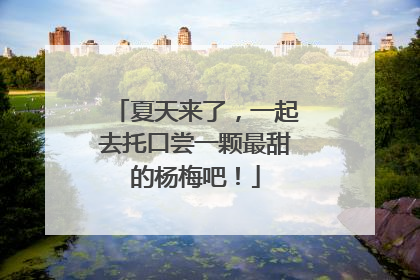 夏天来了，一起去托口尝一颗最甜的杨梅吧！