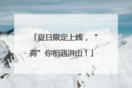 夏日限定上线，“荷”你相遇洪山！
