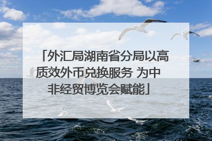 外汇局湖南省分局以高质效外币兑换服务 为中非经贸博览会赋能