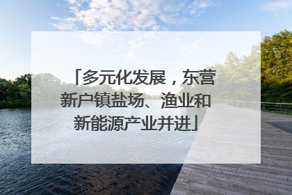 多元化发展，东营新户镇盐场、渔业和新能源产业并进