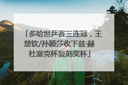多哈世乒赛三连冠，王楚钦/孙颖莎收下兹·赫杜塞克杯复刻奖杯