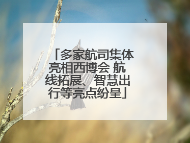 多家航司集体亮相西博会 航线拓展、智慧出行等亮点纷呈