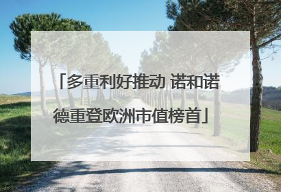 多重利好推动 诺和诺德重登欧洲市值榜首