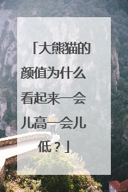 大熊猫的颜值为什么看起来一会儿高一会儿低？