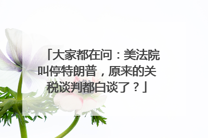 大家都在问：美法院叫停特朗普，原来的关税谈判都白谈了？