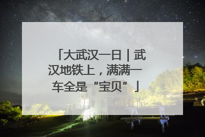 大武汉一日｜武汉地铁上，满满一车全是“宝贝”
