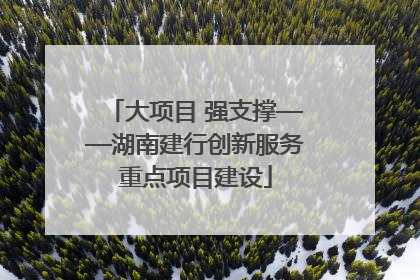 大项目 强支撑——湖南建行创新服务重点项目建设