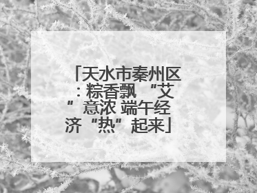 天水市秦州区：粽香飘 “艾”意浓 端午经济“热”起来