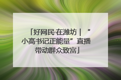 好网民·在潍坊｜“小高书记正能量”直播 带动群众致富