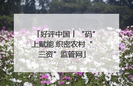 好评中国丨“码”上赋能 织密农村“三资”监管网