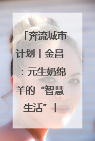 奔流城市计划丨金昌：元生奶绵羊的“智慧生活”