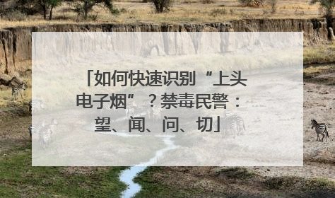 如何快速识别“上头电子烟”？禁毒民警：望、闻、问、切