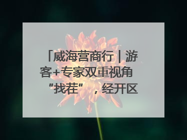 威海营商行｜游客+专家双重视角“找茬”，经开区文旅市场开展暑期前“体检”