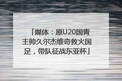 媒体：原U20国青主帅久尔杰维奇救火国足，带队征战东亚杯