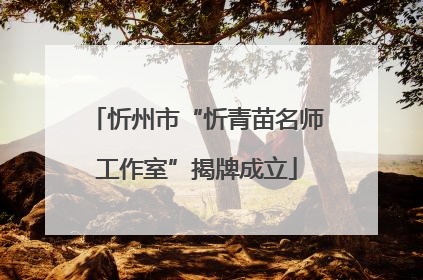 忻州市“忻青苗名师工作室”揭牌成立