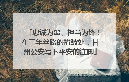 忠诚为墨、担当为锋！在千年丝路的褶皱处，甘州公安写下平安的注脚