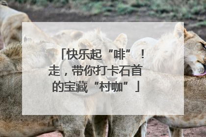 快乐起“啡”！走，带你打卡石首的宝藏“村咖”