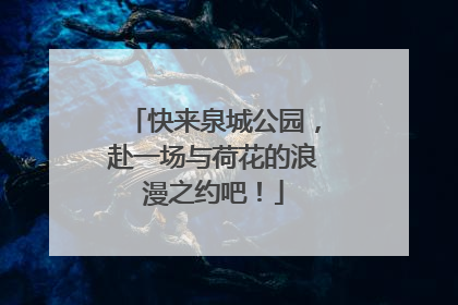 快来泉城公园，赴一场与荷花的浪漫之约吧！
