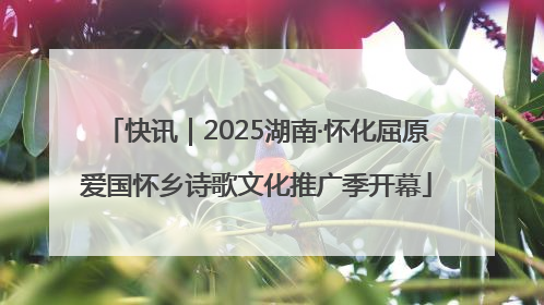快讯｜2025湖南·怀化屈原爱国怀乡诗歌文化推广季开幕