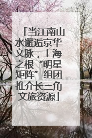 当江南山水邂逅京华文脉，上海之根“明星矩阵”组团推介长三角文旅资源