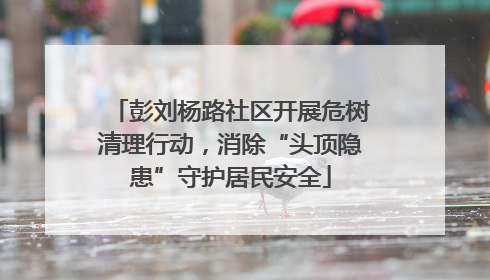 彭刘杨路社区开展危树清理行动，消除“头顶隐患”守护居民安全