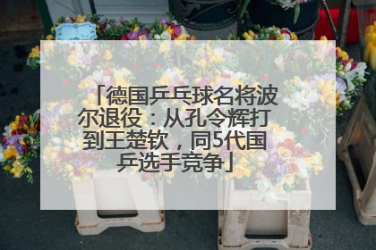 德国乒乓球名将波尔退役：从孔令辉打到王楚钦，同5代国乒选手竞争