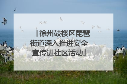 徐州鼓楼区琵琶街道深入推进安全宣传进社区活动