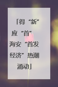 得“新”应“首” 海安“首发经济”热潮涌动