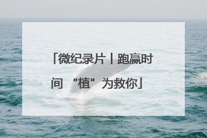 微纪录片丨跑赢时间 “植”为救你