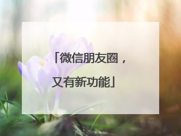 微信朋友圈，又有新功能