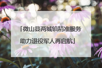 微山县两城镇精准服务助力退役军人再启航