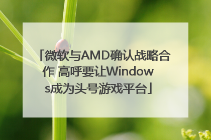 微软与AMD确认战略合作 高呼要让Windows成为头号游戏平台