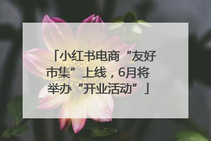 小红书电商“友好市集”上线，6月将举办“开业活动”