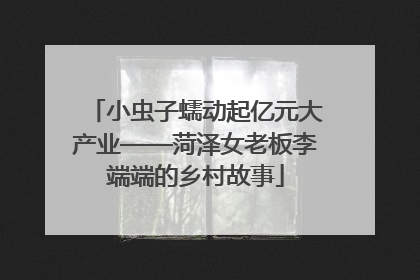 小虫子蠕动起亿元大产业——菏泽女老板李端端的乡村故事