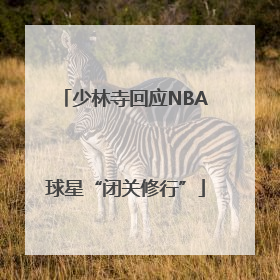 少林寺回应NBA球星“闭关修行”