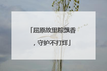 屈原故里粽飘香，守护不打烊