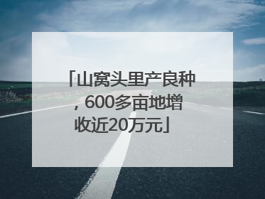山窝头里产良种，600多亩地增收近20万元