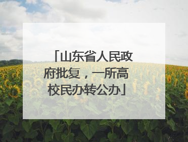 山东省人民政府批复，一所高校民办转公办