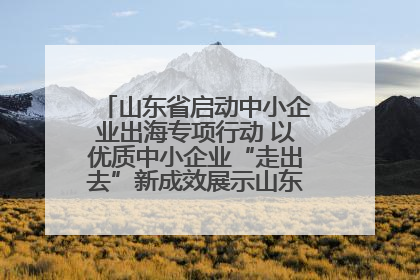 山东省启动中小企业出海专项行动 以优质中小企业“走出去”新成效展示山东产业发展新形象