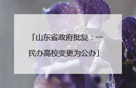 山东省政府批复：一民办高校变更为公办