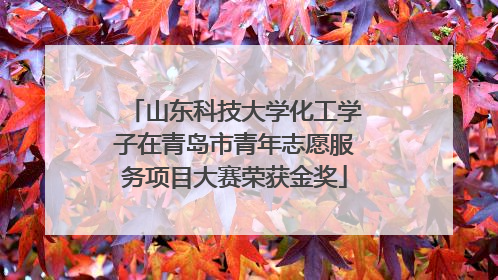 山东科技大学化工学子在青岛市青年志愿服务项目大赛荣获金奖