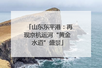 山东东平港：再现京杭运河“黄金水道”盛景