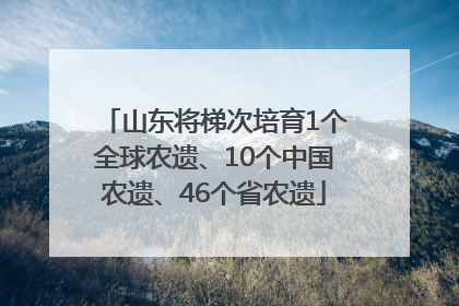 山东将梯次培育1个全球农遗、10个中国农遗、46个省农遗