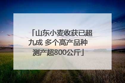 山东小麦收获已超九成 多个高产品种测产超800公斤