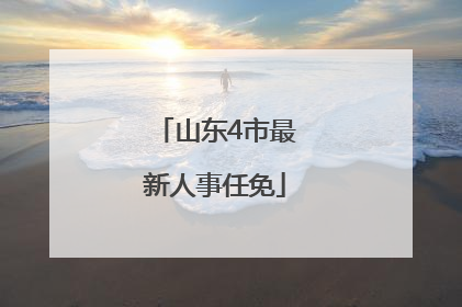 山东4市最新人事任免
