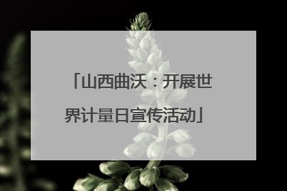 山西曲沃：开展世界计量日宣传活动