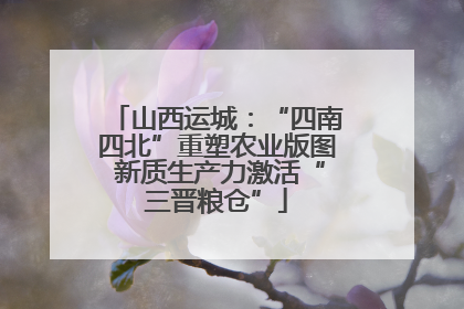 山西运城：“四南四北”重塑农业版图 新质生产力激活“三晋粮仓”