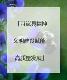 岢岚县精神文明建设赋能高质量发展