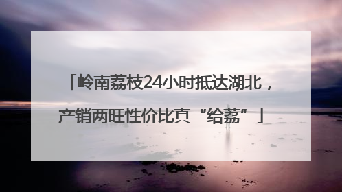 岭南荔枝24小时抵达湖北，产销两旺性价比真“给荔”